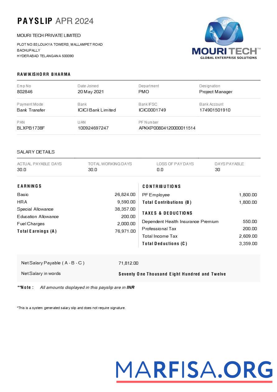 Blank Mouri Tech payslip template